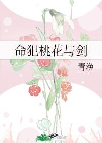 命犯桃花与剑